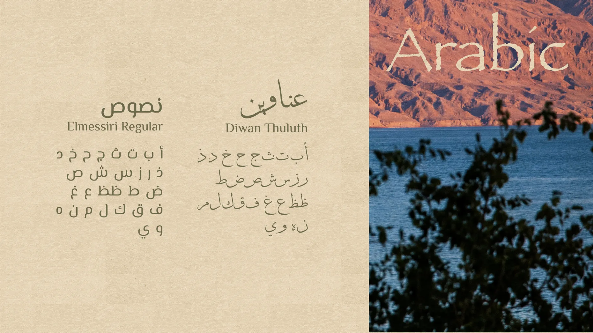 Malaaz — image 13